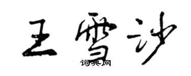 曾庆福王雪沙行书个性签名怎么写