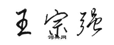 骆恒光王宗强行书个性签名怎么写