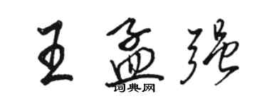 骆恒光王孟强行书个性签名怎么写