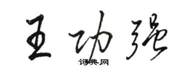 骆恒光王功强行书个性签名怎么写