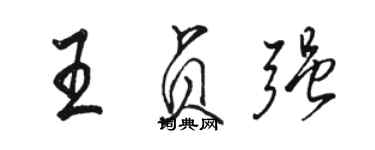 骆恒光王贞强行书个性签名怎么写