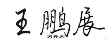 骆恒光王鹏展行书个性签名怎么写