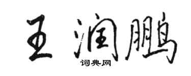 骆恒光王润鹏行书个性签名怎么写