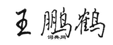 骆恒光王鹏鹤行书个性签名怎么写