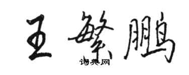 骆恒光王繁鹏行书个性签名怎么写