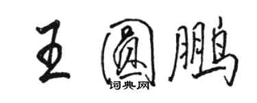 骆恒光王圆鹏行书个性签名怎么写