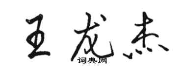 骆恒光王龙杰行书个性签名怎么写
