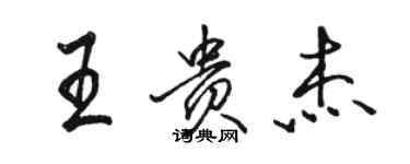 骆恒光王贵杰行书个性签名怎么写