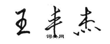 骆恒光王丰杰行书个性签名怎么写