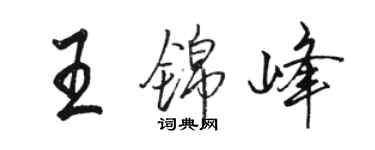 骆恒光王锦峰行书个性签名怎么写