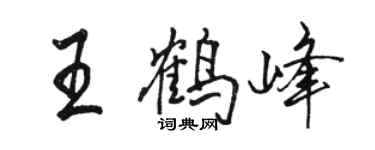 骆恒光王鹤峰行书个性签名怎么写