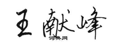 骆恒光王献峰行书个性签名怎么写
