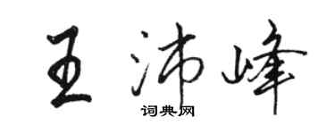 骆恒光王沛峰行书个性签名怎么写