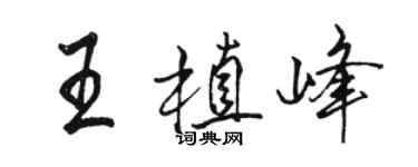 骆恒光王植峰行书个性签名怎么写