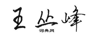 骆恒光王丛峰行书个性签名怎么写