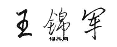 骆恒光王锦军行书个性签名怎么写