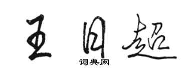 骆恒光王日超行书个性签名怎么写