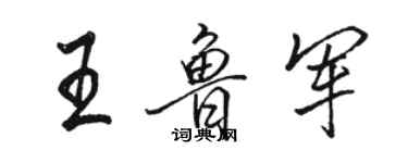 骆恒光王鲁军行书个性签名怎么写