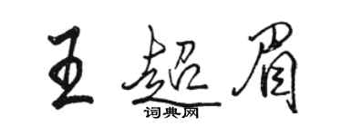 骆恒光王超眉行书个性签名怎么写