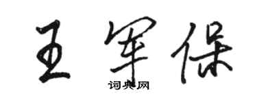 骆恒光王军保行书个性签名怎么写