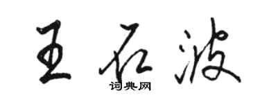 骆恒光王石波行书个性签名怎么写