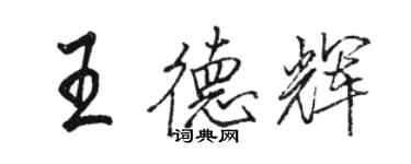 骆恒光王德辉行书个性签名怎么写