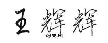 骆恒光王辉辉行书个性签名怎么写