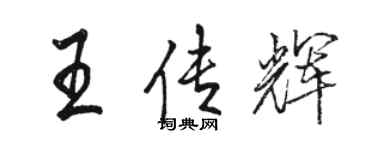 骆恒光王传辉行书个性签名怎么写