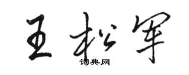 骆恒光王松军行书个性签名怎么写
