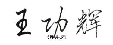 骆恒光王功辉行书个性签名怎么写