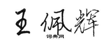 骆恒光王佩辉行书个性签名怎么写