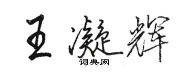 骆恒光王凝辉行书个性签名怎么写