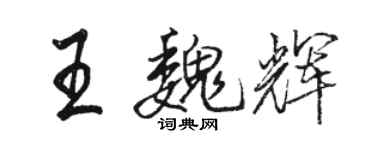 骆恒光王魏辉行书个性签名怎么写