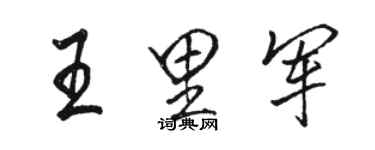 骆恒光王里军行书个性签名怎么写