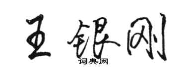 骆恒光王银刚行书个性签名怎么写