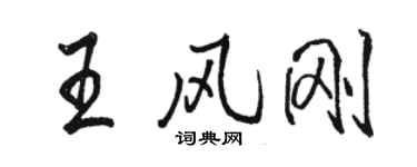 骆恒光王风刚行书个性签名怎么写