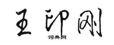 骆恒光王印刚行书个性签名怎么写