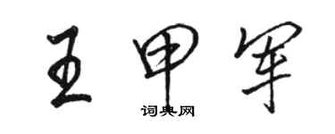 骆恒光王甲军行书个性签名怎么写