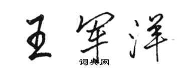 骆恒光王军洋行书个性签名怎么写