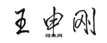 骆恒光王申刚行书个性签名怎么写