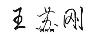骆恒光王苏刚行书个性签名怎么写
