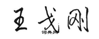 骆恒光王戈刚行书个性签名怎么写