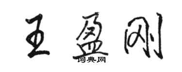 骆恒光王盈刚行书个性签名怎么写