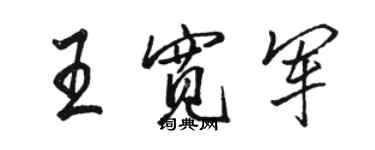 骆恒光王宽军行书个性签名怎么写