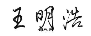 骆恒光王明浩行书个性签名怎么写