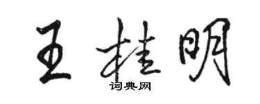 骆恒光王桂明行书个性签名怎么写