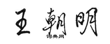 骆恒光王朝明行书个性签名怎么写