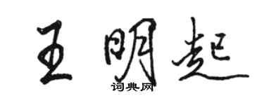骆恒光王明起行书个性签名怎么写