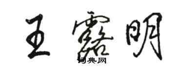 骆恒光王露明行书个性签名怎么写