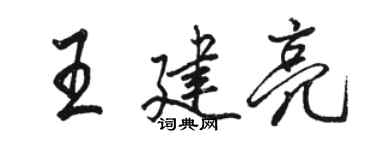 骆恒光王建亮行书个性签名怎么写